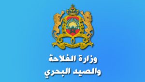  الفلاحة  - التلفزة الإلكترونية بلازواقTV