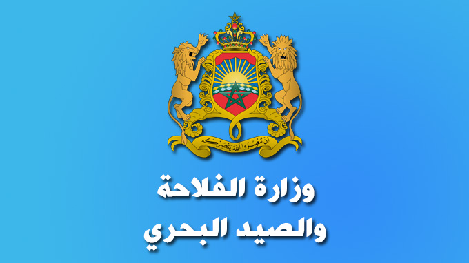 طنجة :مؤشرات الموسم الفلاحي تبشر بإنتاج قياسي بجهة