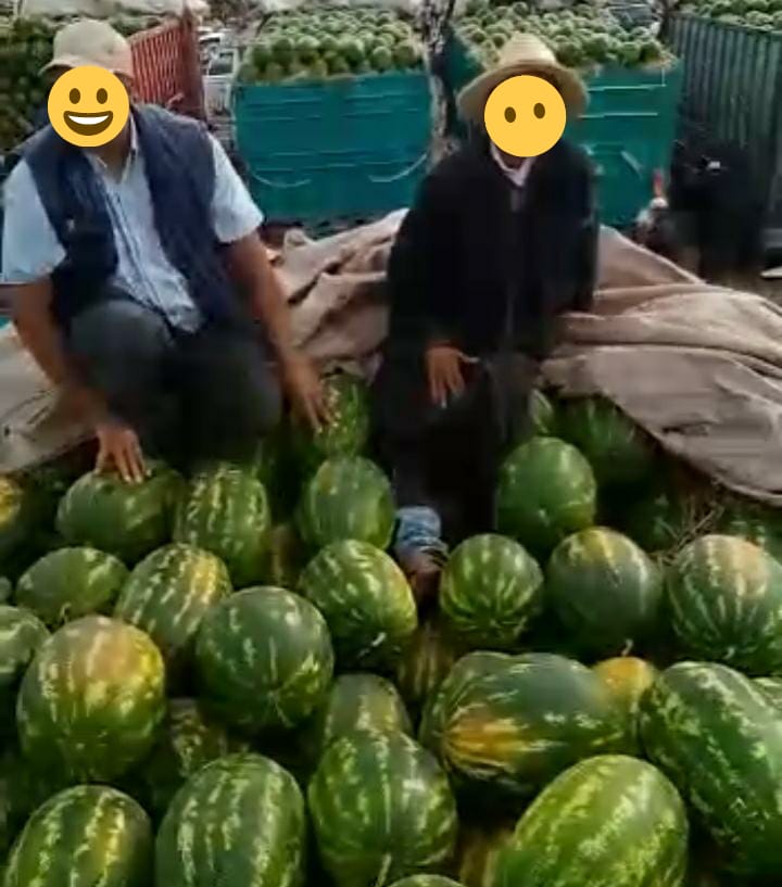 وزارة الفلاحة تخرج عن صمتها بخصوص البطيخ الأحمر “الدلاح” وتؤكد سلامته