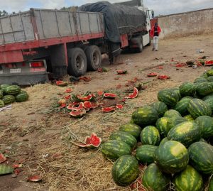 IMG 20210702 WA0030  - التلفزة الإلكترونية بلازواقTV