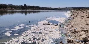 IMG 20210717 WA0084  - التلفزة الإلكترونية بلازواقTV