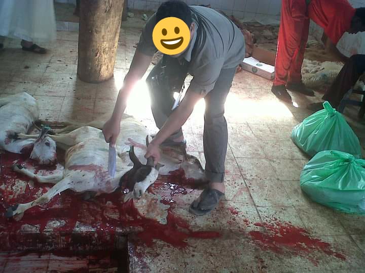 بسبب كورونا..الداخلية تضع إجراءات صارمة وشروط لذبح أضاحي العيد