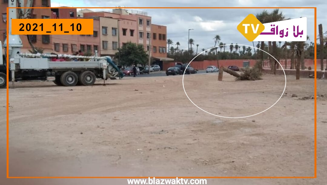 من المسؤول عن كسر اشجار النخيل بحي ݣنون بمقاطعة النخيل الشمالي (مراكش)