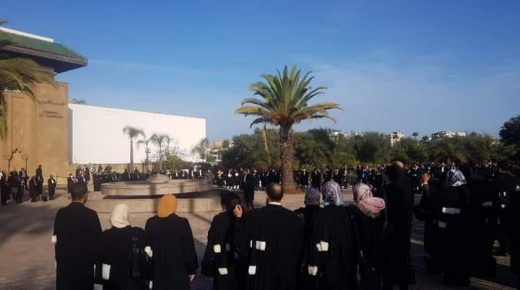احتجاجات المحامين  أمام المحاكم بسبب فرض جواز التلقيح للولوج