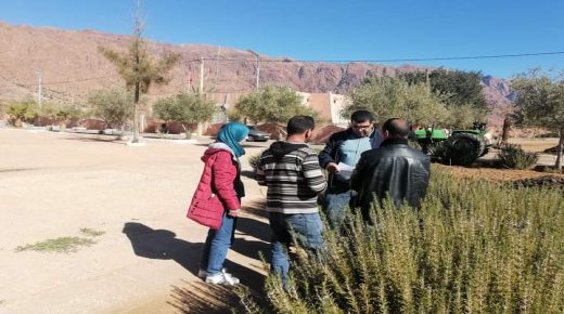 جماعة أملن دائرة تافراوت إقليم تزنيت  تطلق حملة واسعة النطاق لصيانة المناطق الخضراء