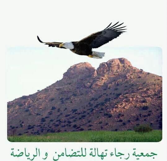 IMG 20220110 WA0089 - التلفزة الإلكترونية بلازواقTV