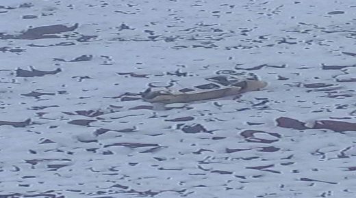 حادثة سير مميتة بمنعرجات ايت ساون إقليم زاكورة