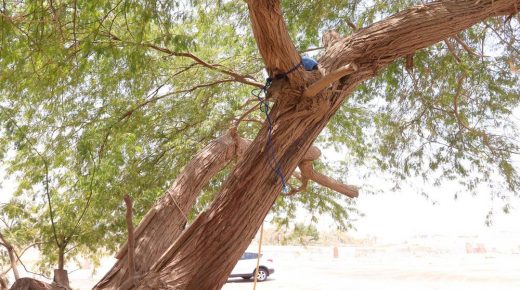 جثة خمسيني تستنفر الدرك الملكي بإقليم الحوز