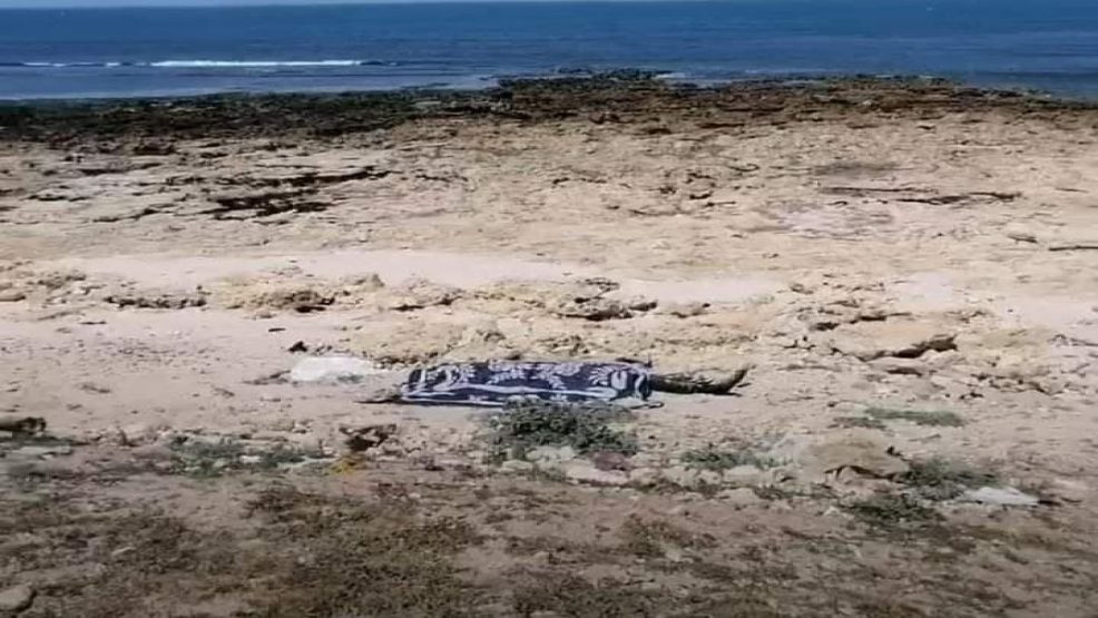 العثور على جثة شخص مدبوح بشاطىء مولاي عبدالله امغار