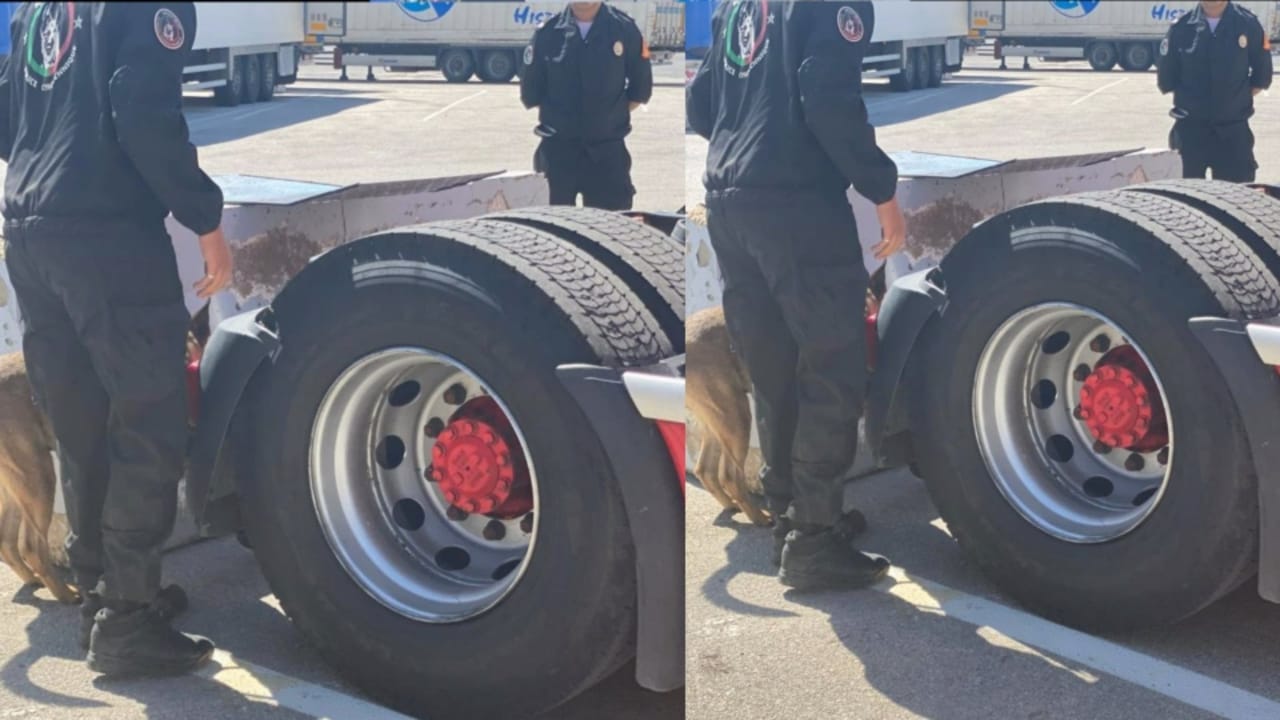 IMG 20220602 WA0003 - التلفزة الإلكترونية بلازواقTV