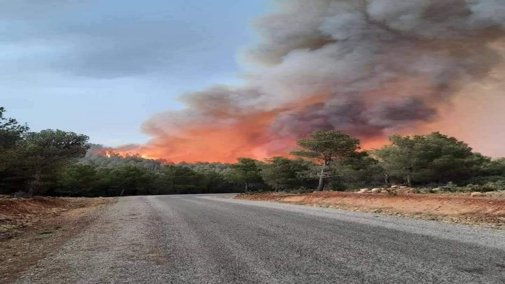 تازة : بعد احتراق حوالي 185 هكتار، تدخل طائرات “كانادير” تحدث الفارق في السيطرة على الحرائق