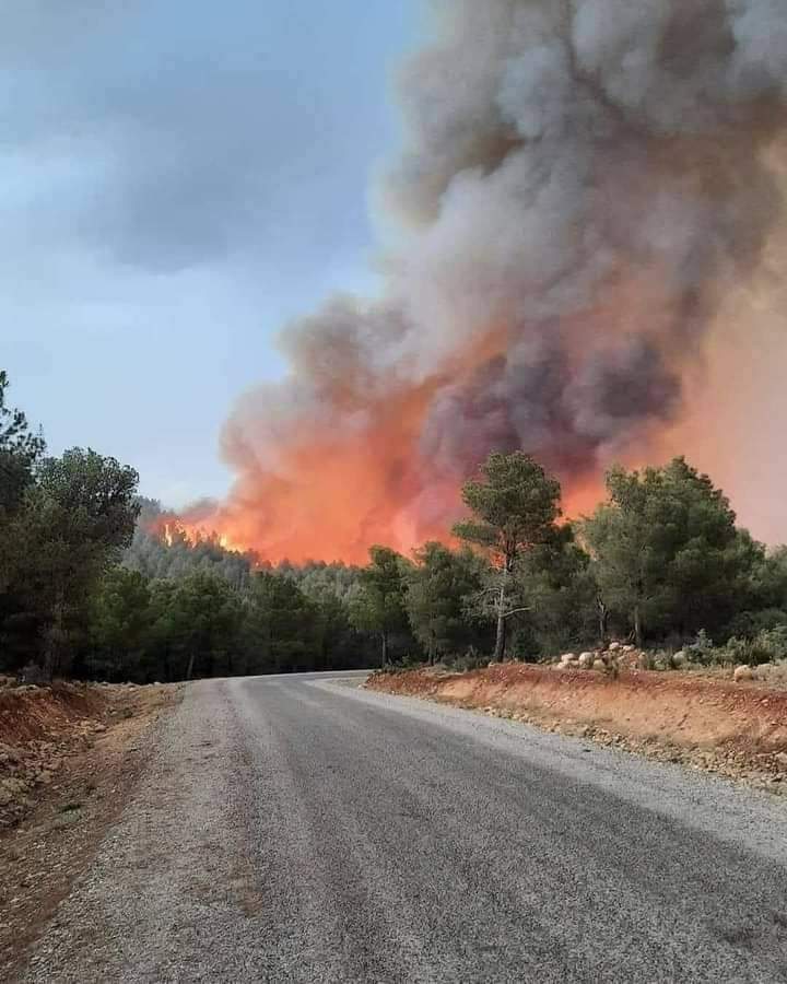 IMG 20220617 WA0173 - التلفزة الإلكترونية بلازواقTV