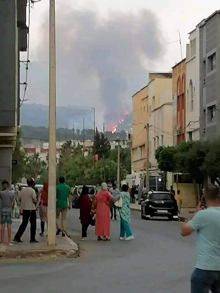 IMG 20220617 WA0192 - التلفزة الإلكترونية بلازواقTV