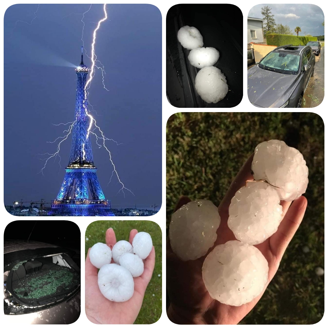 PhotoCollage 1654514828705 - التلفزة الإلكترونية بلازواقTV