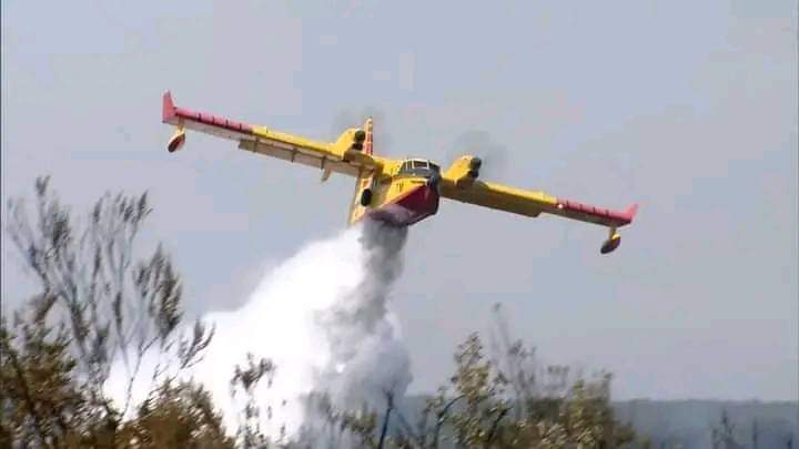 FB IMG 1659768168377 - التلفزة الإلكترونية بلازواقTV