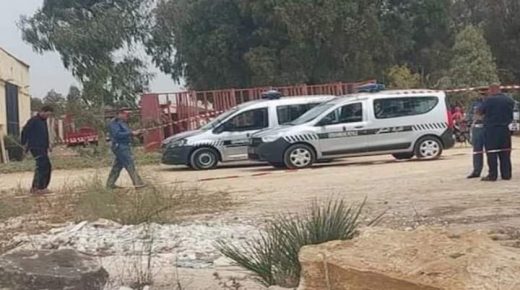 تفاصيل مقتل بائع فواكه ضواحي البيرالجديد