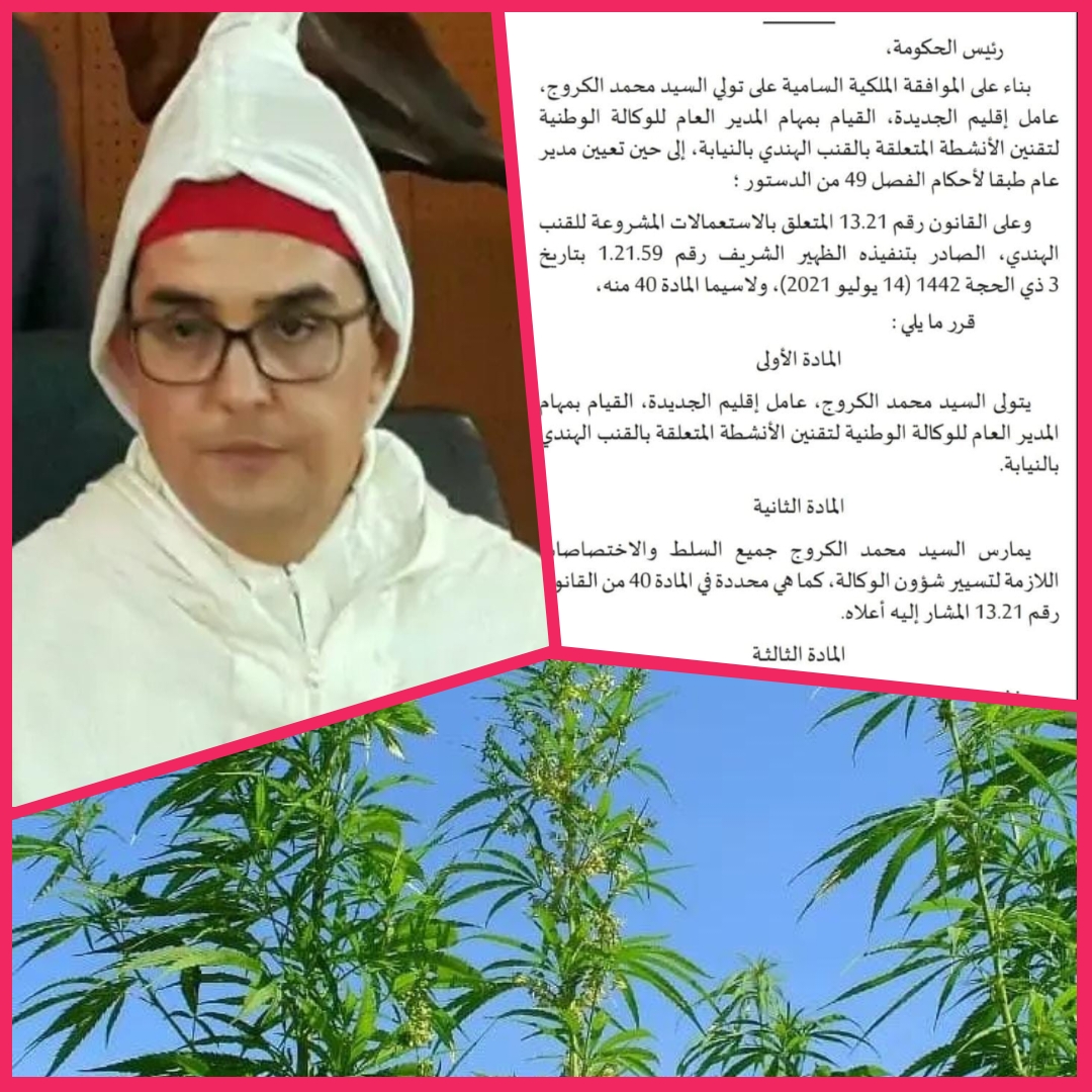PhotoCollage 1664558444504 - التلفزة الإلكترونية بلازواقTV