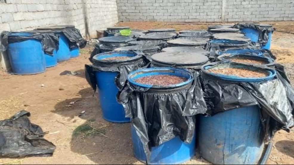 درك ازمور يداهم  معملا سريا “للماحيا ” باولاد رحمون اقليم الجديدة