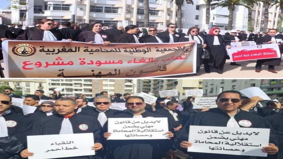 رجال ونساء البدلة السوداء يحتجون ضد مسودة مشروع قانون المحاماة