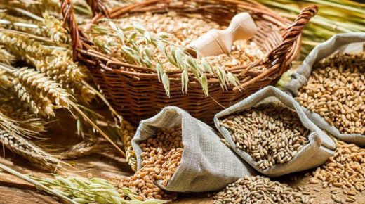 الإستعداد لتنظيم النسخة الثالثة من معرض الحبوب والقطاني الدولي ببرشيد