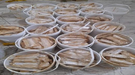 طنجة ..إجهاض عملية للتهريب الدولي لشحنة من المؤثرات العقلية: تفوق مليوني قرص مخدرات