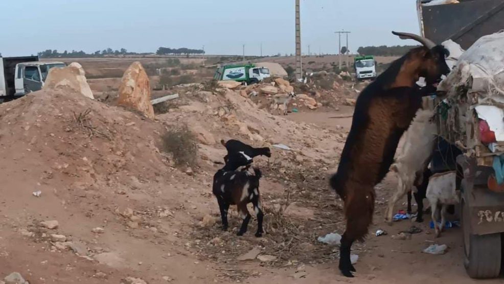 اقليم برشيد: مزابل قوم عند قوم فوائد ..من له المصلحة في إبقاء مطرح سيدي رحال !