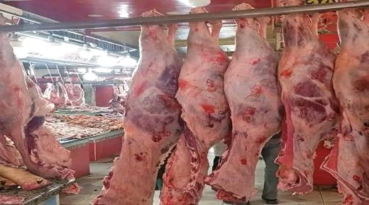 الحكومة توقف فرض رسم الاستيراد على الأبقار الأليفة لتشجيع  المستوردين على تمويل السوق باللحم