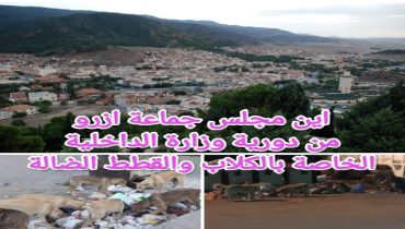 اين مجلس جماعة ازرو من دورية وزارة الداخلية الخاصة بالكلاب والقطط الضالة