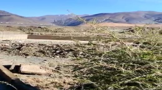 ورزازات… رئيس جمعية فلاحية يتساءل حول مصير مشروع فلاحي مهم.