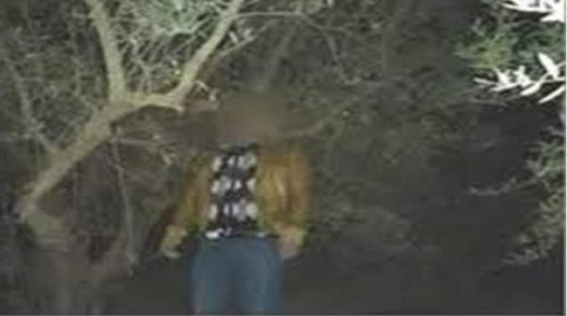 خنيفرة : العثور على جثة شاب معلقة بجذع شجرة بجماعة أجلموس