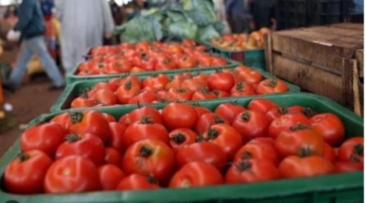 تراجع سعر االطماطم بسوق الجملة بإنزكان إلى 3.3 درهم للكيلوغرام ويؤشر على إنخفاضها وطنيا