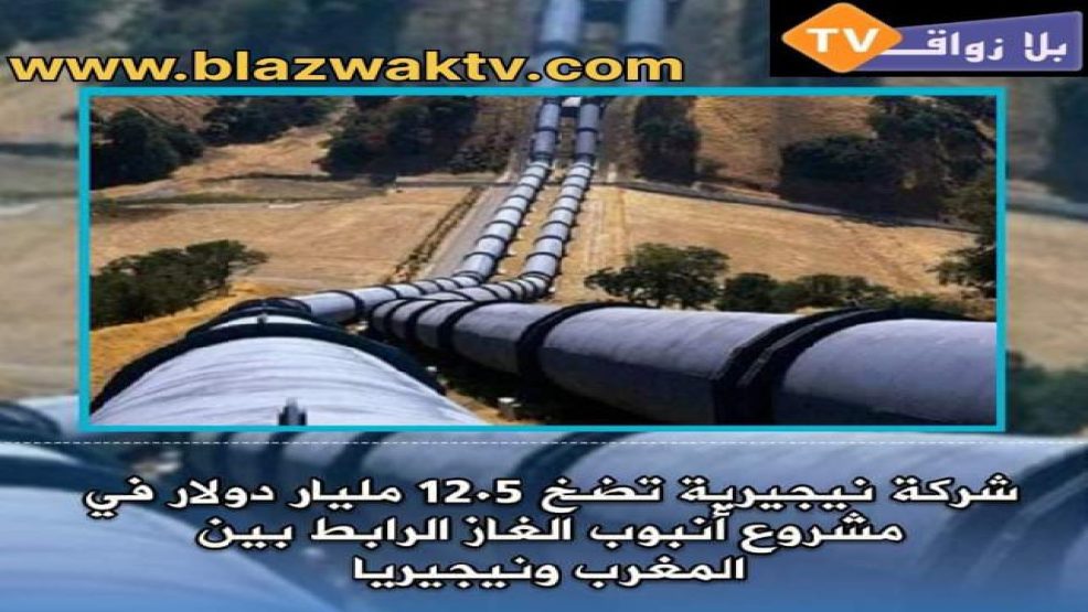 آخر مستجدات مشروع مد أنبوب نقل البترول نيجيريا_المغرب