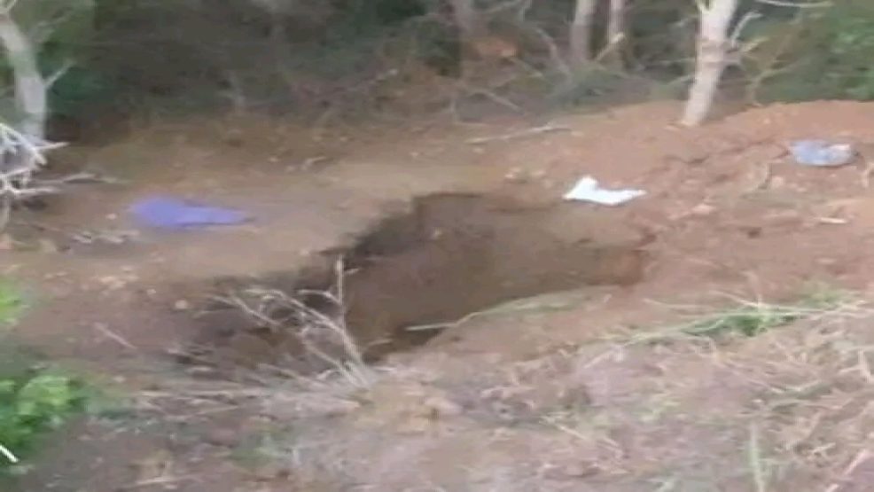العثور على جثة سيدة مدفونة بغابة ضواحي طنجة
