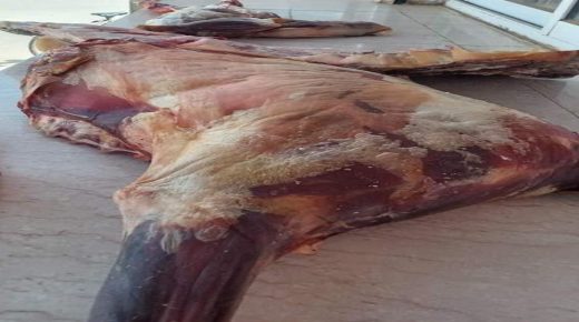 لجنة للمراقبة تحجز لحوم فاسدة بمير اللفت