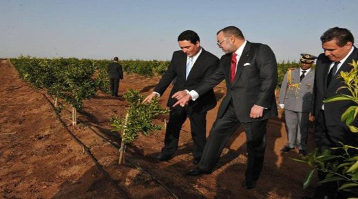 مكتب مجلس النواب..يطالب بإعادة تقييم مخطط المغرب الاخضر