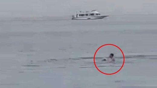 مقتل مواطن روسي في هجوم سمكة قرش في مصر