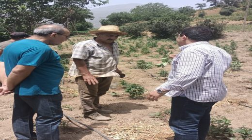 الكروج يقوم بزيارات ميدانية للضيعات الفلاحية  المرخصة  بدائرتي تارجيست وكتامة ويدشن مقر الوكالة بالحسيمة