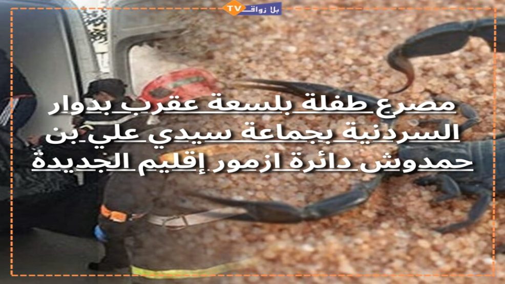 مصرع طفلة بلسعة عقرب بدوار السردنية بجماعة سيدي علي بن حمدوش دائرة ازمور إقليم الجديدة