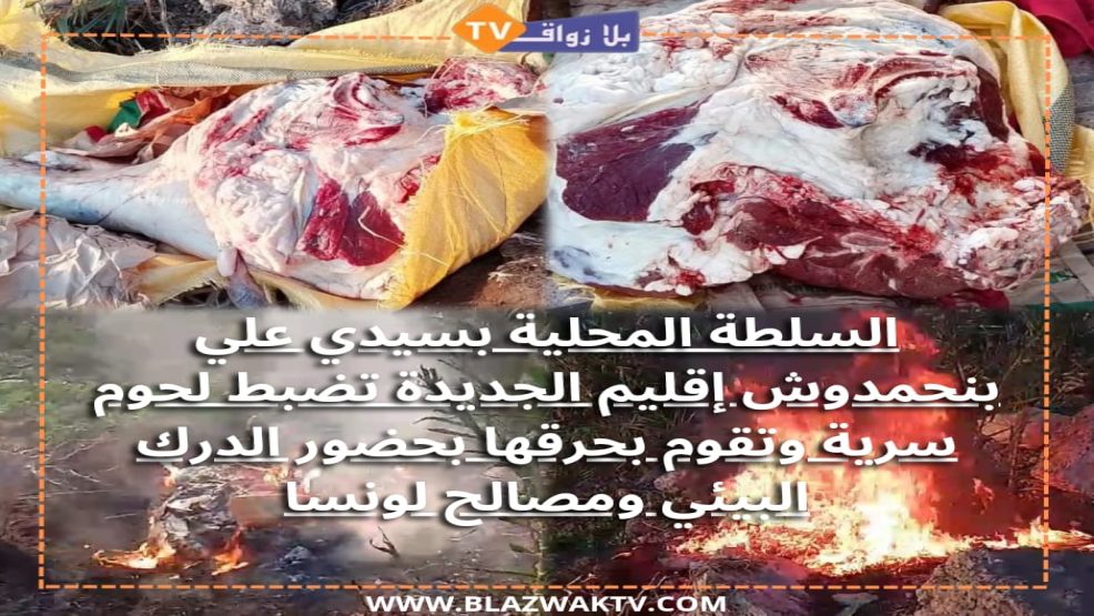 خليفة قائد سيدي علي بنحمدوش يضبظ 57 كلغرام من اللحوم السرية كانت في طريقها لاحد محلات الجزارة