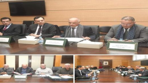 اجتماع 22 دجنبر الحالي للجنة الثلاثية الوزارية مع الجامعة الوطنية للتعليم – التوجه الديموقراطي (FNE)