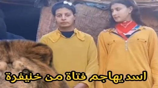 خنيفرة ..الجهات الرسمية تنفي رواية تعرض شابة لهجوم اسد بضواحي مولاي بوعزة