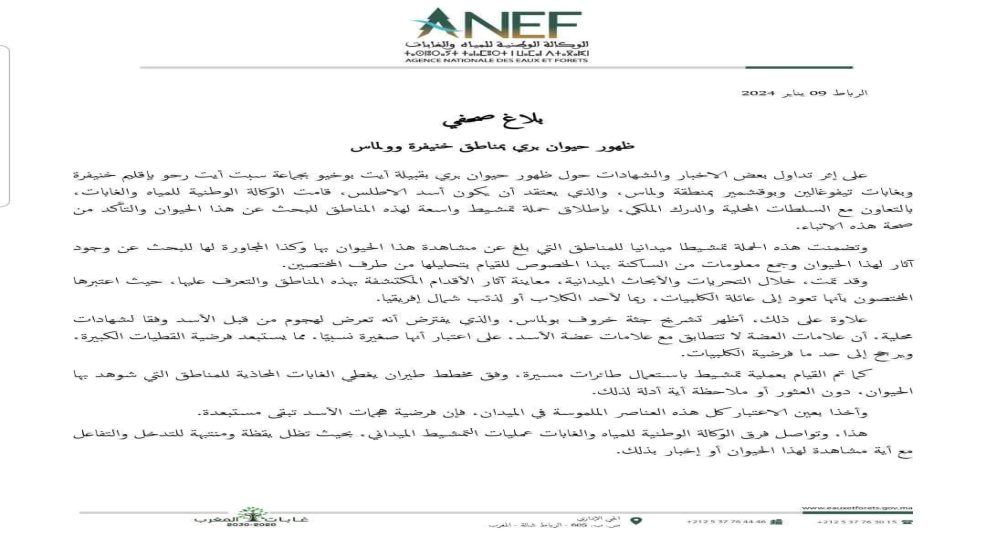 الوكالة الوطنية للمياه والغابات تستبعد ضهور اسد الأطلس