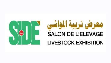 معرض تربية المواشي بجماعة سيدي علي بنحمدوش اقليم الجديدة ينطلق غذا