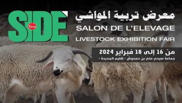 المعرض الدولي لتربية المواشي بجماعة سيدي علي بنحمدوش اقليم الجديدة