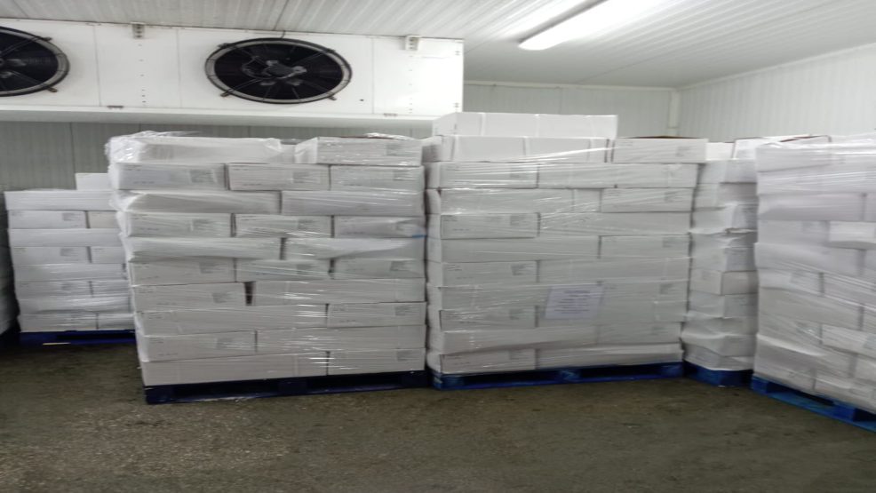 اجهاض محاولة تهريب اكثر من 3 اطنان و255 كلغ من الشيرا بميناء طنجة