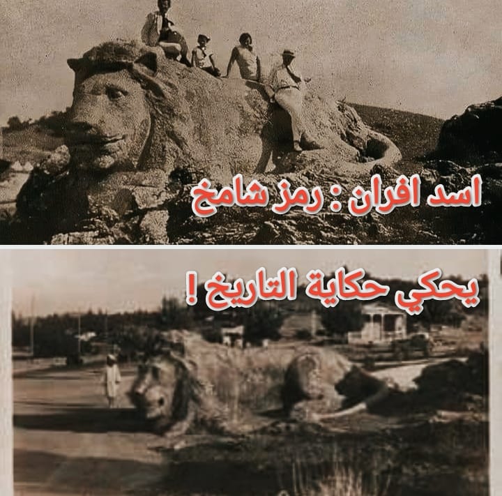 أسد إفران: رمز شامخ يحكي حكاية التاريخ