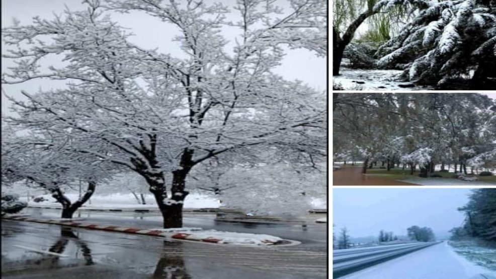 اقليم إفران: عودة الثلوج تبشر بمستقبل أخضر وانتعاش سياحي