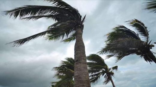 نشرة إنذارية: رياح قوية من الجمعة إلى الأحد