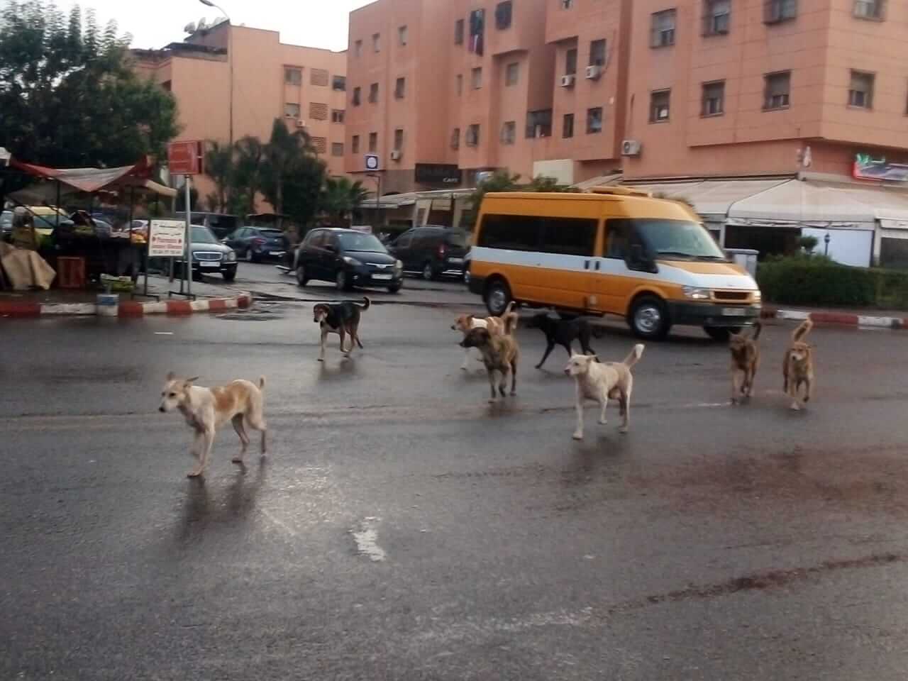 IMG 20240314 WA0021 - التلفزة الإلكترونية بلازواقTV
