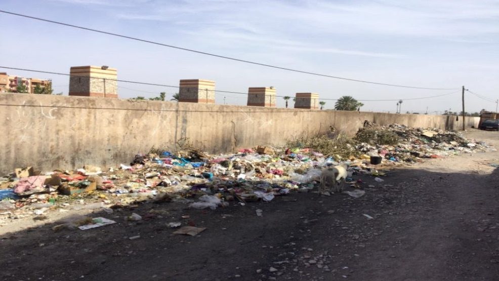 مراكش..مدينة سبعة رجال اصبحت بدون نخيل ولا بهجة !!